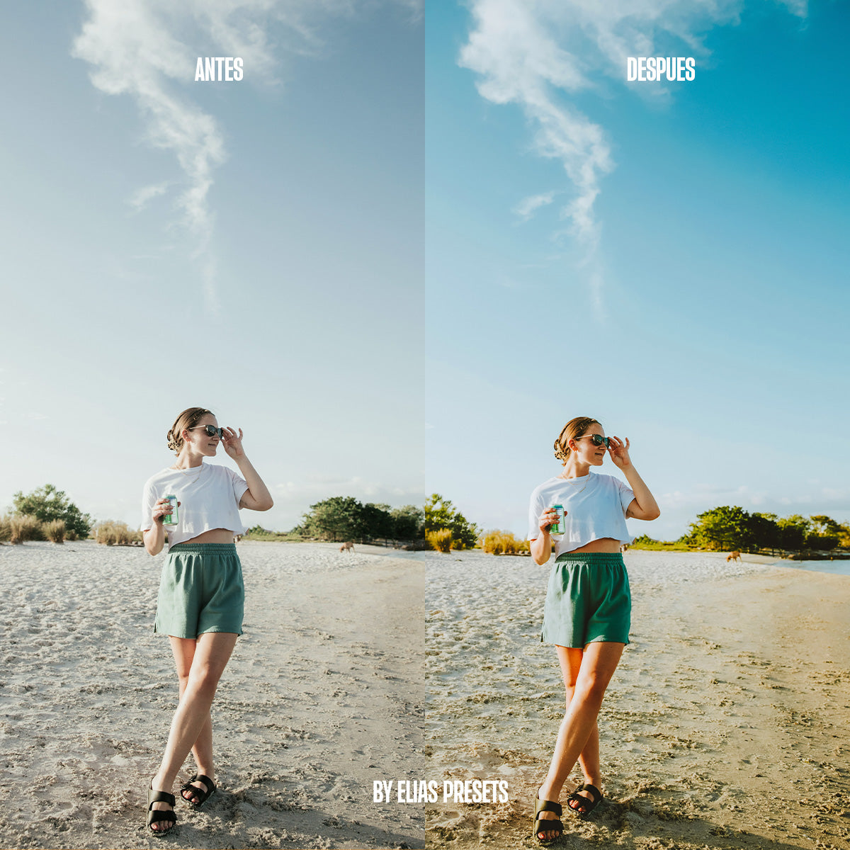 Atlantic Presets Lightroom