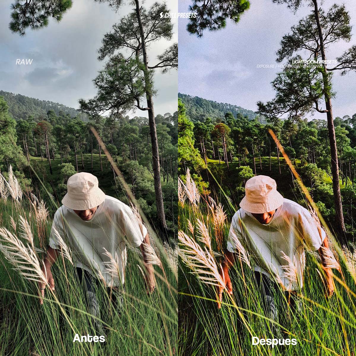 Film Kodak Lightroom Presets