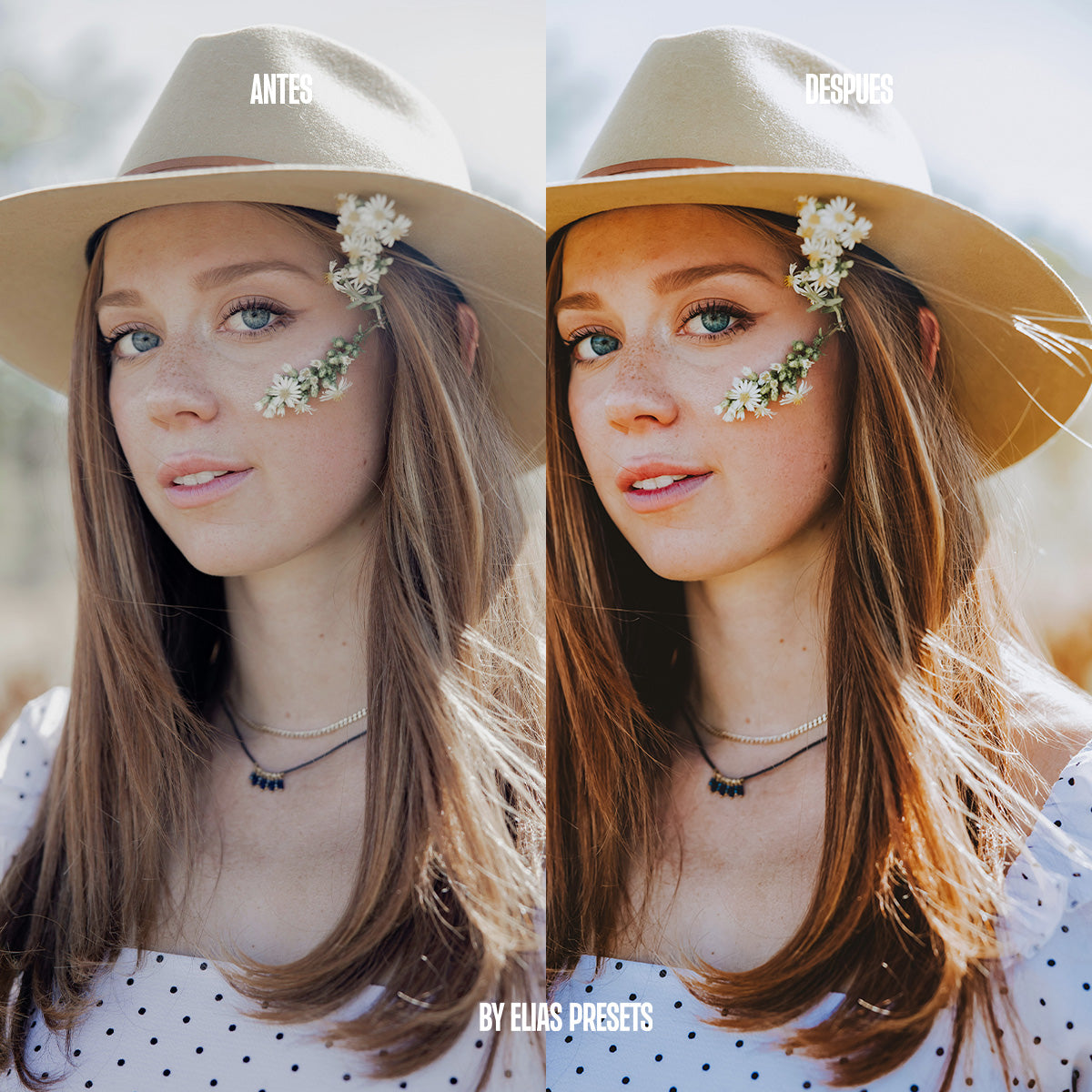 Atlantic Presets Lightroom