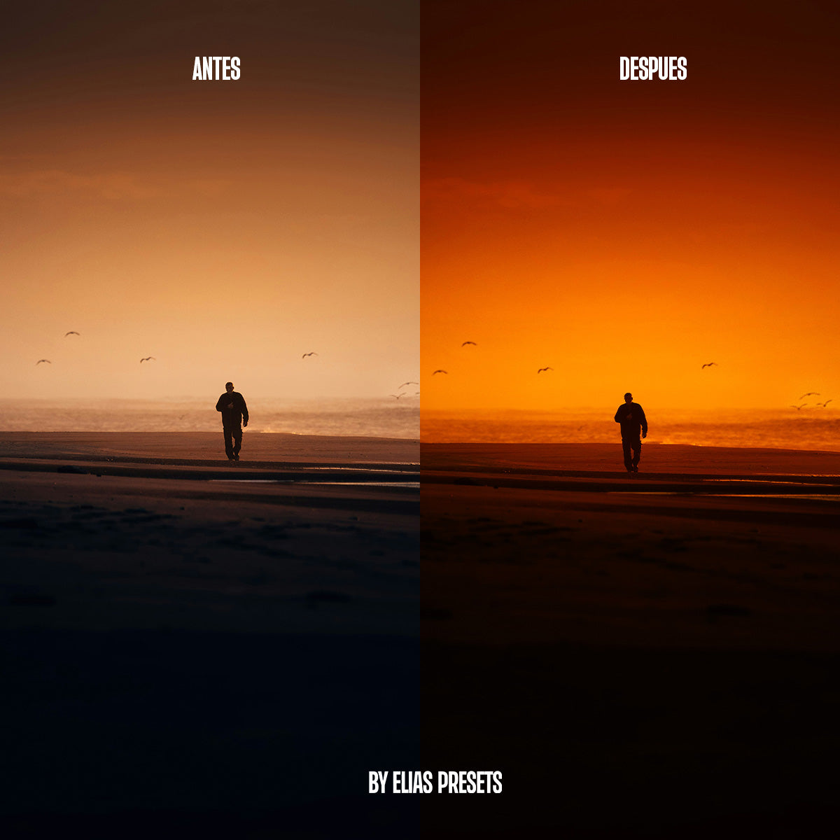 Blade Runner Yellow Presets Lightroom