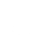 Social icon
